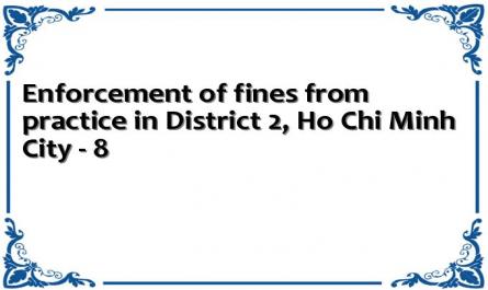Enforcement of fines from practice in District 2, Ho Chi Minh City - 8