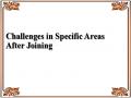 Challenges in Specific Areas After Joining