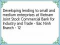Developing lending to small and medium enterprises at Vietnam Joint Stock Commercial Bank for Industry and Trade - Bac Ninh Branch - 12