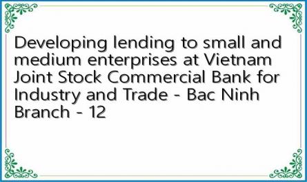 Developing lending to small and medium enterprises at Vietnam Joint Stock Commercial Bank for Industry and Trade - Bac Ninh Branch - 12