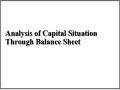 Analysis of Capital Situation Through Balance Sheet