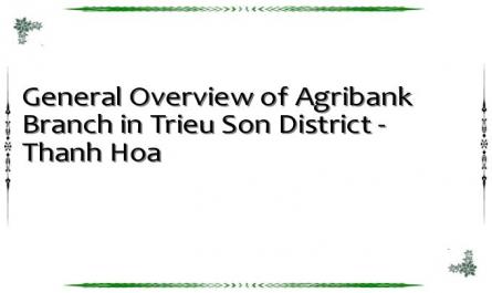 General Overview of Agribank Branch in Trieu Son District - Thanh Hoa
