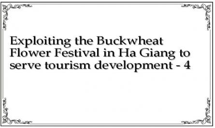 Exploiting the Buckwheat Flower Festival in Ha Giang to serve tourism development - 4