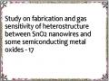 Study on fabrication and gas sensitivity of heterostructure between SnO2 nanowires and some semiconducting metal oxides - 17
