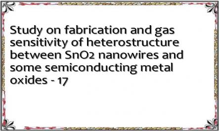 Study on fabrication and gas sensitivity of heterostructure between SnO2 nanowires and some semiconducting metal oxides - 17