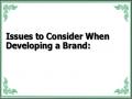 Issues to Consider When Developing a Brand: