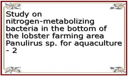 Study on nitrogen-metabolizing bacteria in the bottom of the lobster farming area Panulirus sp. for aquaculture - 2