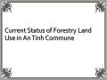 Current Status of Forestry Land Use in An Tinh Commune
