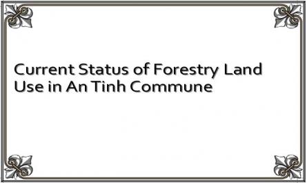 Current Status of Forestry Land Use in An Tinh Commune