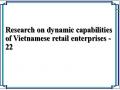 Research on dynamic capabilities of Vietnamese retail enterprises - 22