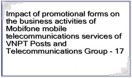 Impact of promotional forms on the business activities of Mobifone mobile telecommunications services of VNPT Posts and Telecommunications Group - 17