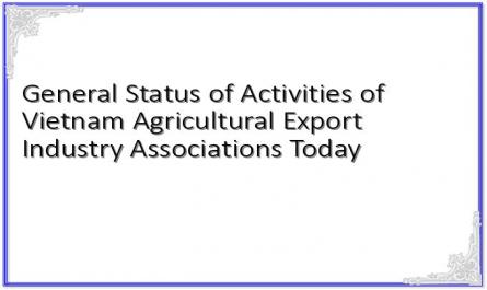 General Status of Activities of Vietnam Agricultural Export Industry Associations Today
