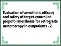 Evaluation of anesthetic efficacy and safety of target-controlled propofol anesthesia for retrograde ureteroscopy in outpatients - 2