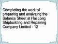 Completing the work of preparing and analyzing the Balance Sheet at Hai Long Shipbuilding and Repairing Company Limited - 12