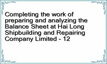 Completing the work of preparing and analyzing the Balance Sheet at Hai Long Shipbuilding and Repairing Company Limited - 12