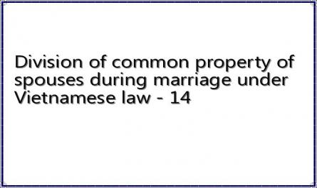 Division of common property of spouses during marriage under Vietnamese law - 14