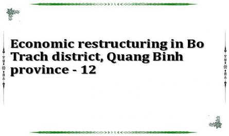 Economic restructuring in Bo Trach district, Quang Binh province - 12