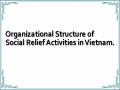 Organizational Structure of Social Relief Activities in Vietnam.