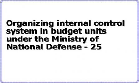 Organizing internal control system in budget units under the Ministry of National Defense - 25