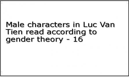 Male characters in Luc Van Tien read according to gender theory - 16
