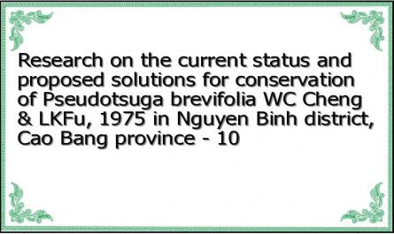 Research on the current status and proposed solutions for conservation of Pseudotsuga brevifolia WC Cheng & LKFu, 1975 in Nguyen Binh district, Cao Bang province - 10