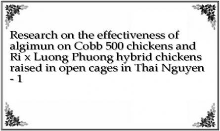 Research on the effectiveness of algimun on Cobb 500 chickens and Ri x Luong Phuong hybrid chickens raised in open cages in Thai Nguyen - 1