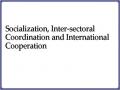 Socialization, Inter-sectoral Coordination and International Cooperation