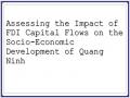 Assessing the Impact of FDI Capital Flows on the Socio-Economic Development of Quang Ninh