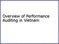 Overview of Performance Auditing in Vietnam