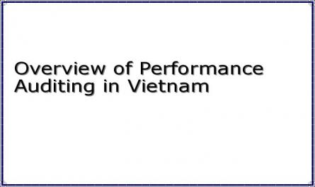Overview of Performance Auditing in Vietnam