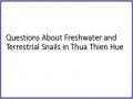 Questions About Freshwater and Terrestrial Snails in Thua Thien Hue