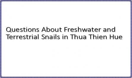 Questions About Freshwater and Terrestrial Snails in Thua Thien Hue