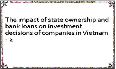 The impact of state ownership and bank loans on investment decisions of companies in Vietnam - 2