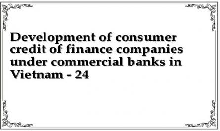 Development of consumer credit of finance companies under commercial banks in Vietnam - 24