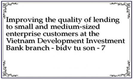 Improving the quality of lending to small and medium-sized enterprise customers at the Vietnam Development Investment Bank branch - bidv tu son - 7