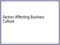 Factors Affecting Business Culture