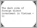 The dark side of foreign direct investment in Vietnam - 11