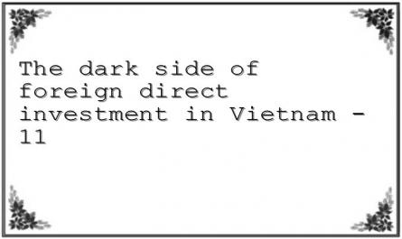 The dark side of foreign direct investment in Vietnam - 11