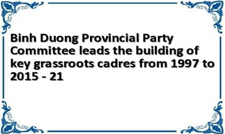 Binh Duong Provincial Party Committee leads the building of key grassroots cadres from 1997 to 2015 - 21