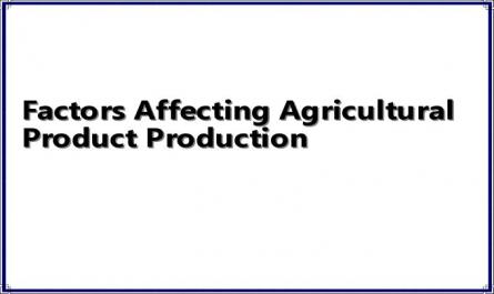 Factors Affecting Agricultural Product Production