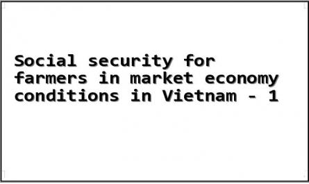 Social security for farmers in market economy conditions in Vietnam - 1