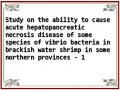 Study on the ability to cause acute hepatopancreatic necrosis disease of some species of vibrio bacteria in brackish water shrimp in some northern provinces - 1