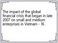 The impact of the global financial crisis that began in late 2007 on small and medium enterprises in Vietnam - 16