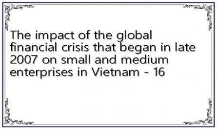 The impact of the global financial crisis that began in late 2007 on small and medium enterprises in Vietnam - 16
