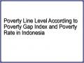 Poverty Line Level According to Poverty Gap Index and Poverty Rate in Indonesia