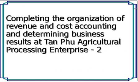 Completing the organization of revenue and cost accounting and determining business results at Tan Phu Agricultural Processing Enterprise - 2