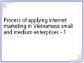Process of applying internet marketing in Vietnamese small and medium enterprises - 1