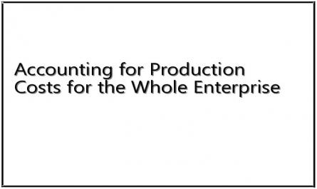 Accounting for Production Costs for the Whole Enterprise
