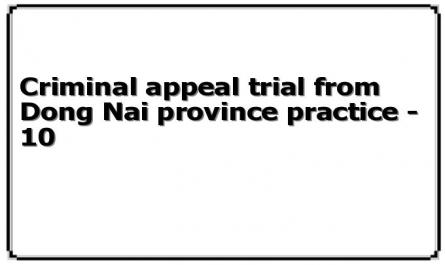 Criminal appeal trial from Dong Nai province practice - 10