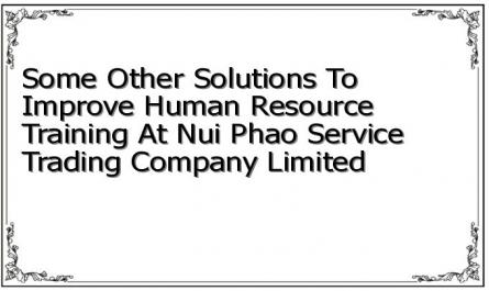Some Other Solutions To Improve Human Resource Training At Nui Phao Service Trading Company Limited